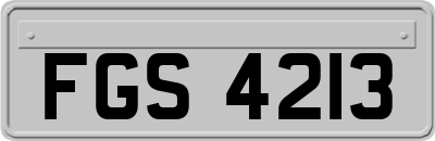 FGS4213