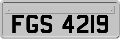 FGS4219