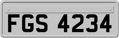 FGS4234