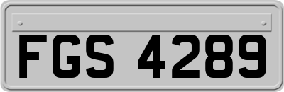 FGS4289
