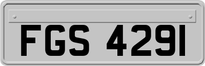 FGS4291
