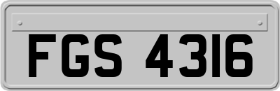 FGS4316