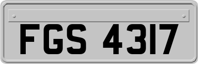 FGS4317