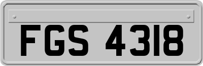 FGS4318