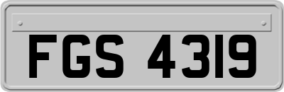FGS4319