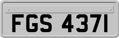 FGS4371