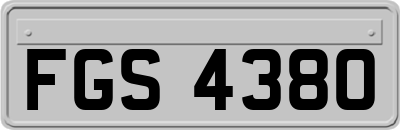 FGS4380