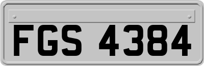 FGS4384