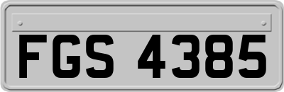 FGS4385