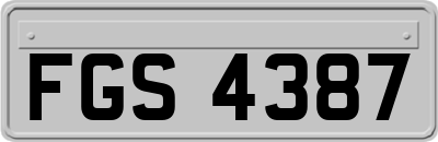 FGS4387