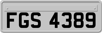 FGS4389