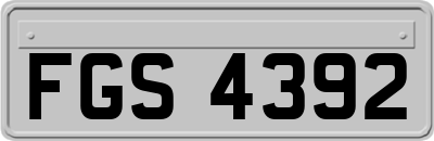 FGS4392