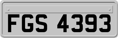 FGS4393