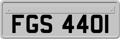 FGS4401