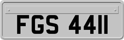FGS4411