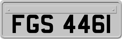 FGS4461