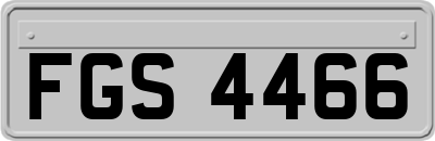 FGS4466