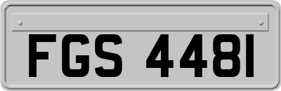 FGS4481