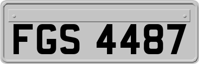 FGS4487