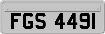 FGS4491
