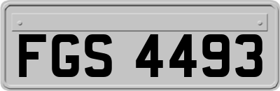FGS4493