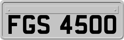 FGS4500