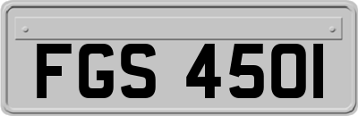 FGS4501