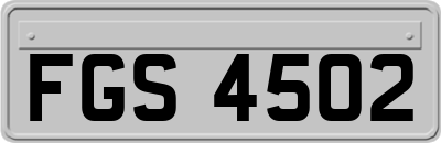 FGS4502