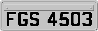 FGS4503