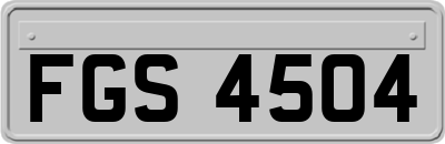 FGS4504