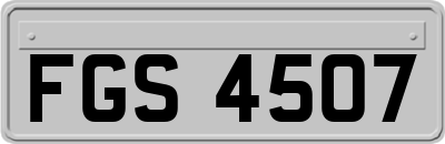 FGS4507