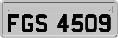 FGS4509
