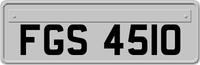 FGS4510