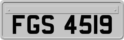 FGS4519