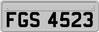 FGS4523