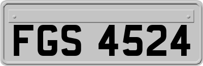 FGS4524