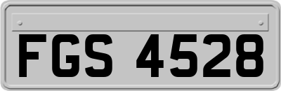 FGS4528