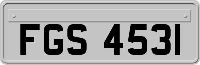 FGS4531