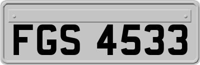 FGS4533
