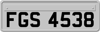 FGS4538