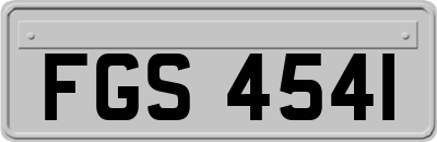 FGS4541