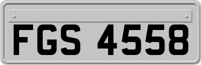 FGS4558