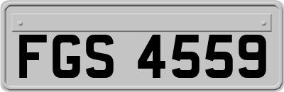 FGS4559