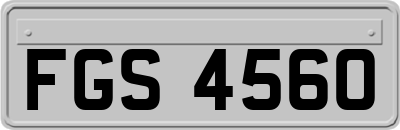 FGS4560