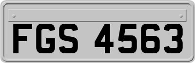 FGS4563