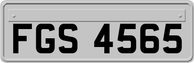 FGS4565