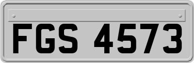 FGS4573