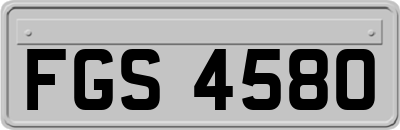 FGS4580