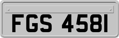 FGS4581