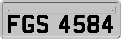 FGS4584